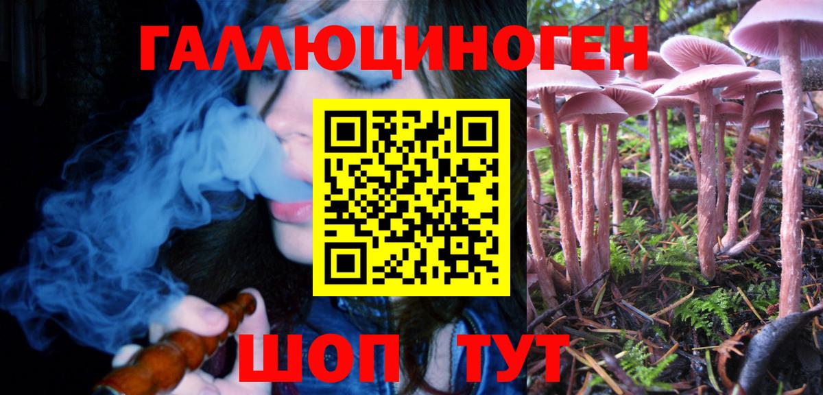Псилоцибиновые грибы Psilocybe Азнакаево